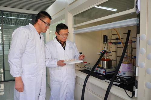 科技創新引領綠色化工 山東智永化工以科技服務助推化工產業發展側記