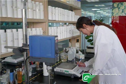 堅定不移強產業 潮南企業以生物化工技術研發為引擎，干勁十足邁向高質量發展